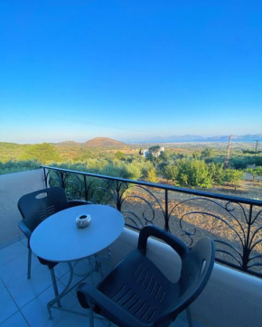 Handra Apartment Seaview - Dodekanes Kos
